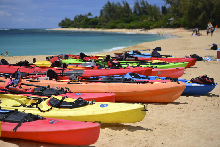 Key Largo: Mangrove Kayak Rental (Single or Double Kayaks)
