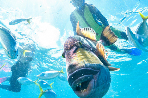 Phuket: Coral Island "Lazy Day" Speedboat Tour