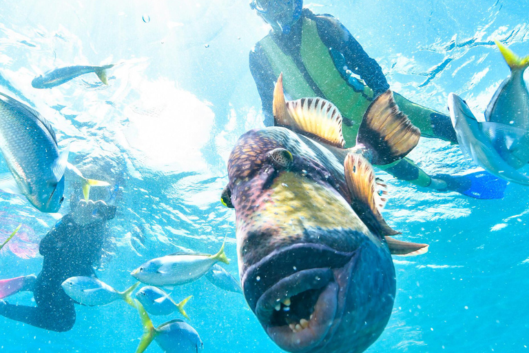 Phuket: Coral Island "Lazy Day" Speedboat Tour