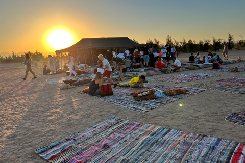 Passeio de camelo com pôr do sol e observação de estrelasServiço de busca no hotel em Hurghada