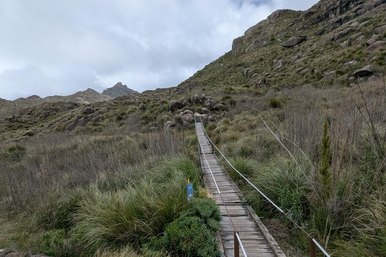Rio de Janeiro ou São Paulo : circuit de 3 jours dans le parc national d'Itatiaia