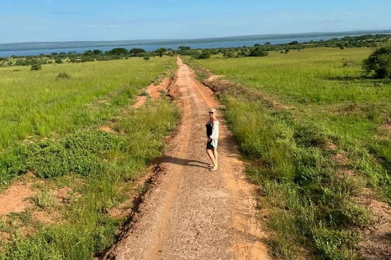 Ouganda : 3 jours de safari dans le parc national des chutes Murchison et les Big 5