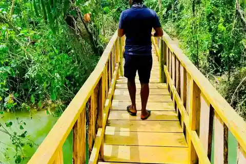 Montego Bay: Cockpit Caves Experience