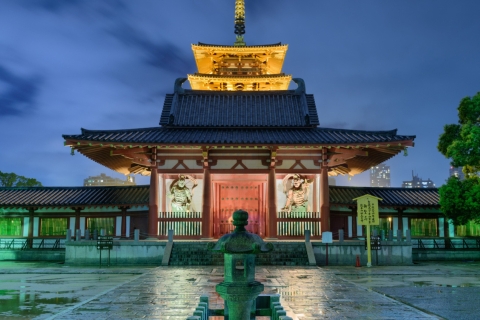 3 jours de visite privée d'Osaka, Kyoto et Nara avec chauffeur anglais