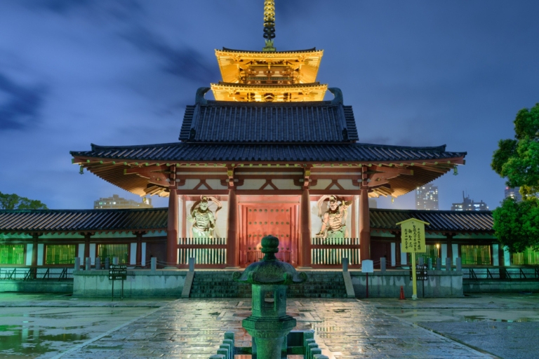 3 Days Private Osaka Kyoto and Nara Tour with English Driver