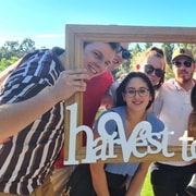 Guided Premium Wine Tour with Lunch & Tastings