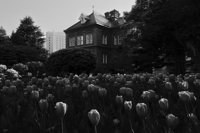 Sapporo: Hidden Beauty Walk & Photography
