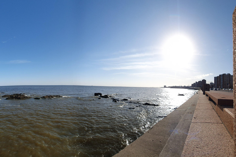 City Tour of Montevideo with entry to the Legislative Palace