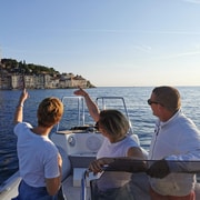 Rovinj: Sunset Speedboat Tour with Dolphin Watching