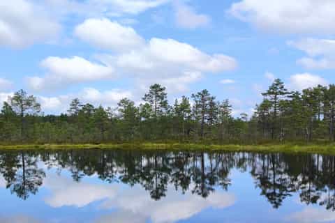 The BEST Lahemaa National Park Tours and Things to Do in 2026 - FREE  Cancellation | GetYourGuide