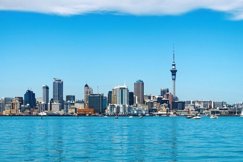 Auckland: Best Street Food Tour With A Local Guide Auckland: 3 Hours Private Food Tasting Walking Tour