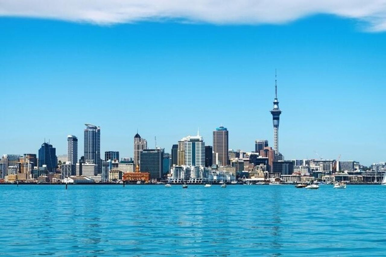 Auckland: Best Street Food Tour With A Local Guide Auckland: 3 Hours Private Food Tasting Walking Tour