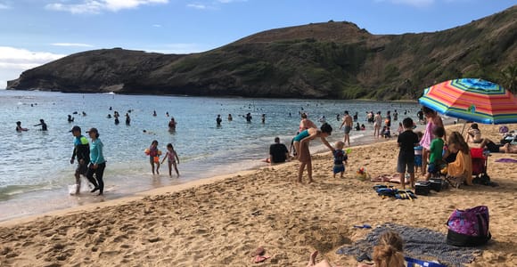 Oahu: Hanauma Bay Entry Ticket & Transport from Waikiki