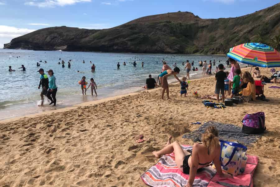 O'ahu: Eintrittskarte für die Hanauma-Bucht & Transfer ab Waikiki. Foto: GetYourGuide O'ahu: Eintrittskarte für die Hanauma-Bucht & Transfer ab Waikiki. Foto: GetYourGuide