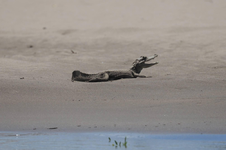 Puerto Maldonado: Excursión de 3 días al Lago Tambopata Sandoval