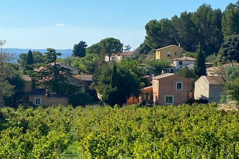 Avignon: Food & Wine Walk | Gourmet Taste & Local Vibes