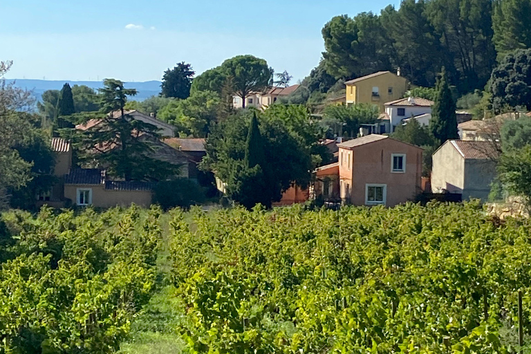 Avignon: Food & Wine Walk | Gourmet Taste & Local Vibes