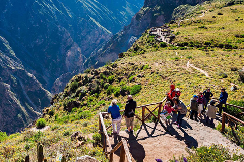 Da Chivay - Colca || Percorso Chivay - Puno