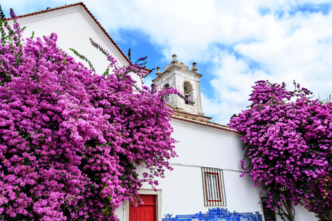 Lisbona: tour storico della città vecchia in Tuk Tuk.Giro guidato in tuk tuk di un'ora