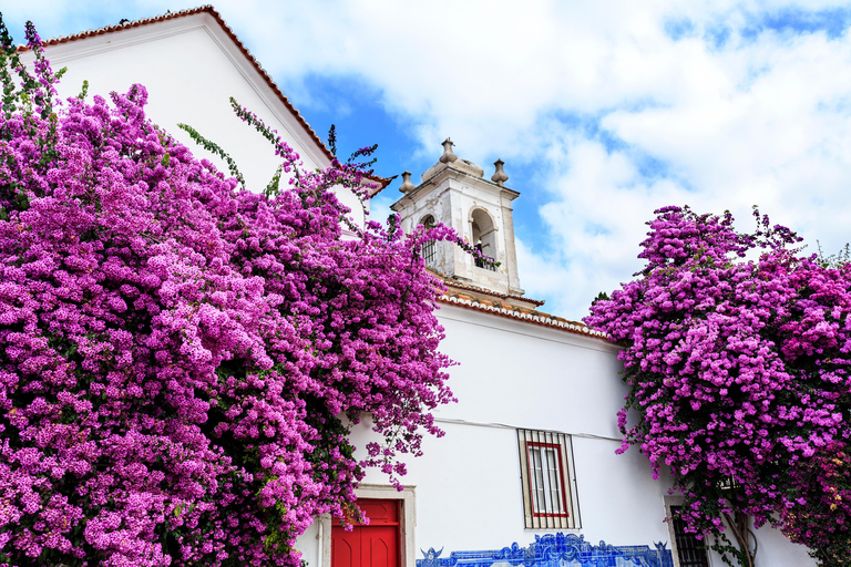 Lisbona: tour storico della città vecchia in Tuk Tuk.Giro guidato in tuk tuk di un'ora