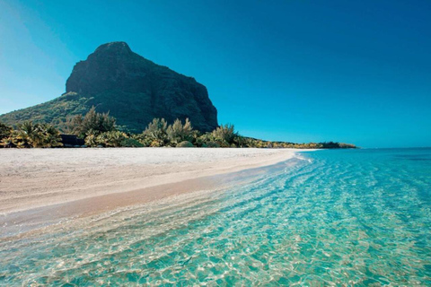 L'île des Bénitiers : Observation des dauphins, plongée en apnée et déjeuner barbecue