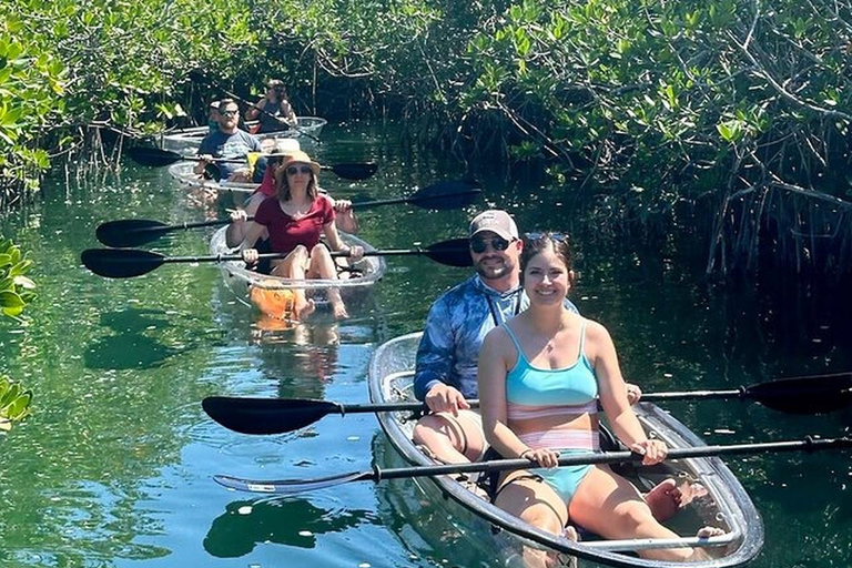 Key West Area: Guided Clear Kayak Eco-Tour