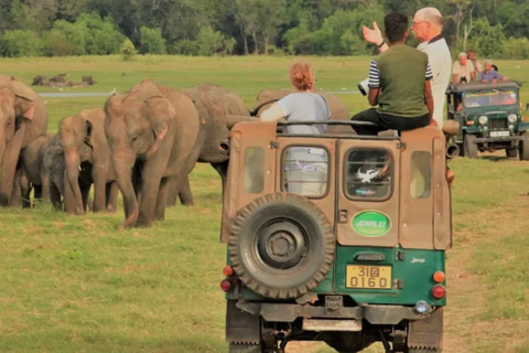 Kandy to Sigiriya Rock & Minneriya Safari: Privet Day Tour