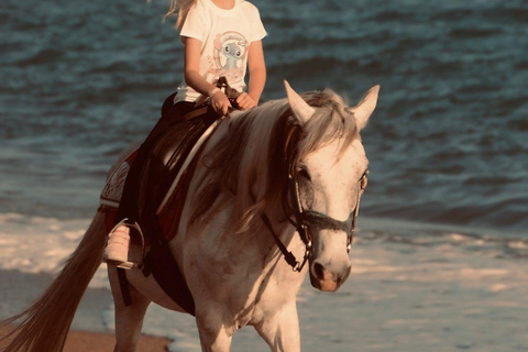 Side: Horseback Riding Adventure with Hotel Pickup