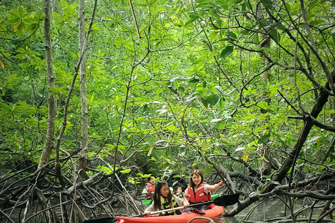 Langkawi : Mangrove Kayak Tour with Lunch Langkawi : Mangrove Kayak Tour