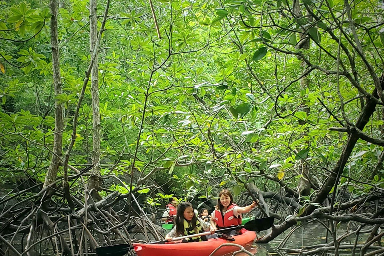 Langkawi : Excursion en kayak dans la mangrove avec déjeuner (matin)