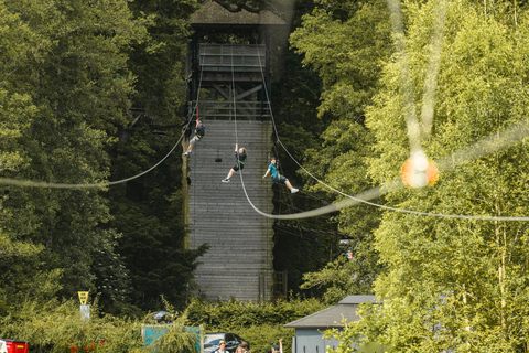Windermere: Treetop Course (Full Trek)