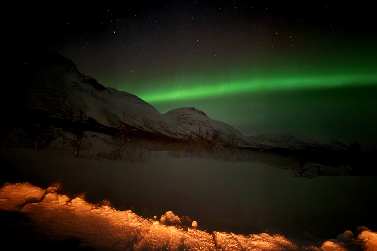 Tromsø: Northern Lights Tour with Photos & Snacks