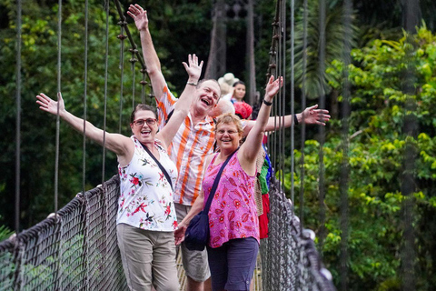 Costa Rica in 4 Days: Wildlife, Hot Springs & Tortillas