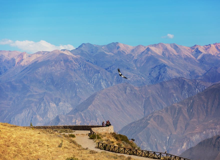 Trip to Colca Canyon 2 Days + Transfer to Puno with Meals | GetYourGuide
