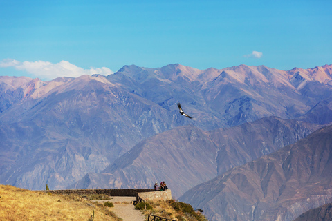 Reis naar Colca Canyon 2 Dagen + Transfer naar Puno met Maaltijden