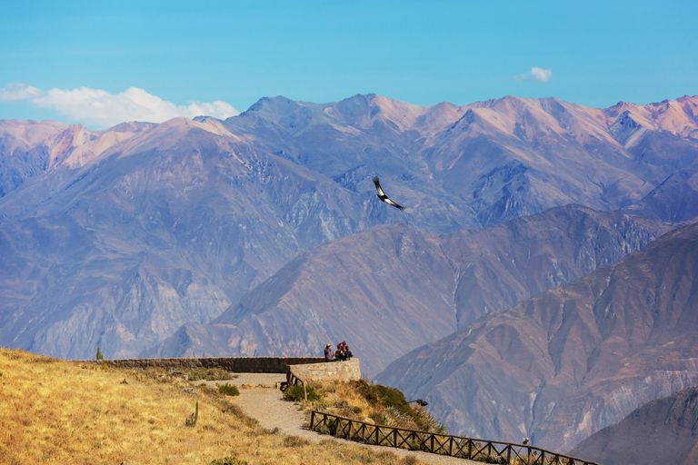 Reise zum Colca Canyon 2 Tage + Transfer nach Puno mit Mahlzeiten