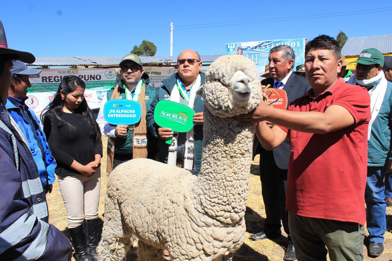 Da Arequipa: Tour di 3 giorni e 2 notti da Arequipa a Puno