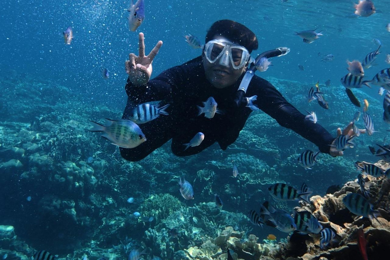 Kota Kinabalu: Catamaran Snorkel & Sailing Tour with Meal Catamaran Afternoon Session