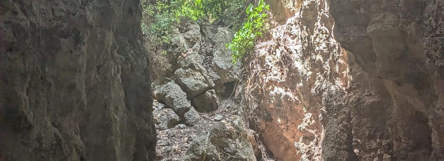 Village de Makunduchi : visite culturelle et spirituelle