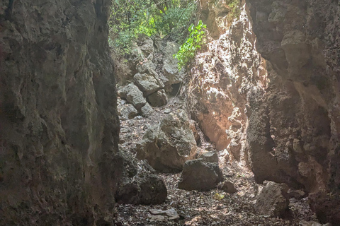 Makunduchi Village: Cultural and Spiritual Tour With Lunch