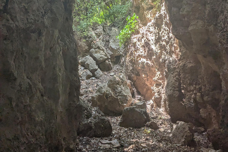 قرية ماكوندوتشي: جولة ثقافية وروحية مع وجبة غداءقرية ماكوندوتشي: جولة ثقافية وروحية مع الغداء