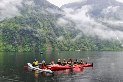 Te Anau: Lake Manapouri Kayak Tour with Water Taxi