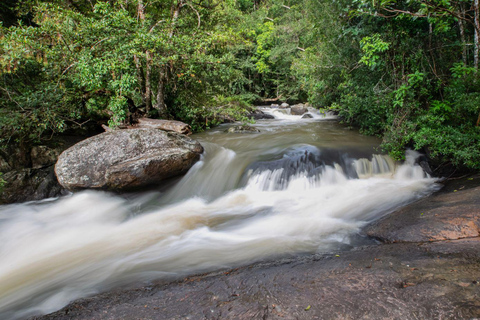 From Bangkok: Khao Yai National Park Day Trip