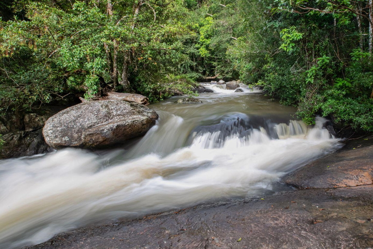 From Bangkok: Khao Yai National Park Day Trip