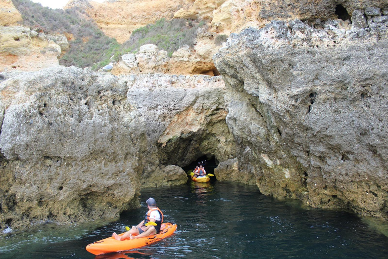 Marina de Lagos: tour in kayak di Ponta da Piedade
