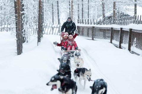 Rovaniemi: Meet Santa's Most Trusted Husky Dogs