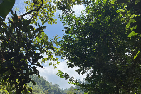 Moshi/Arusha: Chemka Hot Springs Materuni Waterfall Day tour 2 in 1 : Materuni & Chemka tour from Moshi