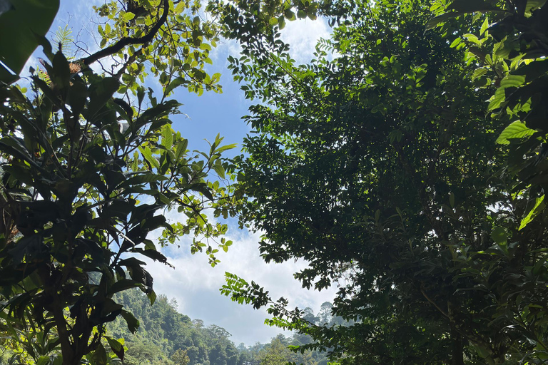 Moshi/Arusha: Chemka Hot Springs Materuni Waterfall Day tour 2 in 1 : Materuni & Chemka tour from Moshi