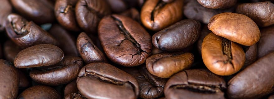 Buon Ma Thuot : Visite des cafés de spécialité et expérience de brassage