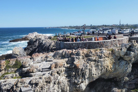 Au départ du Cap : excursion d&#039;observation des baleines à Hermanus avec promenade en bateauAu départ du Cap : excursion d&#039;observation des baleines à Hermanus avec sortie en mer